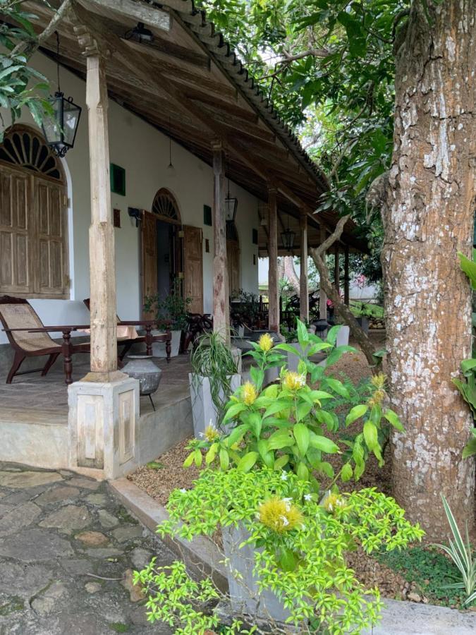 Lali Villa & Fruit Garden Galle Ngoại thất bức ảnh