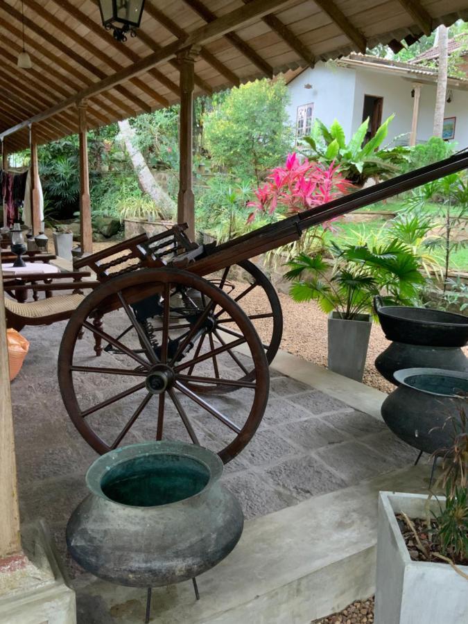 Lali Villa & Fruit Garden Galle Ngoại thất bức ảnh