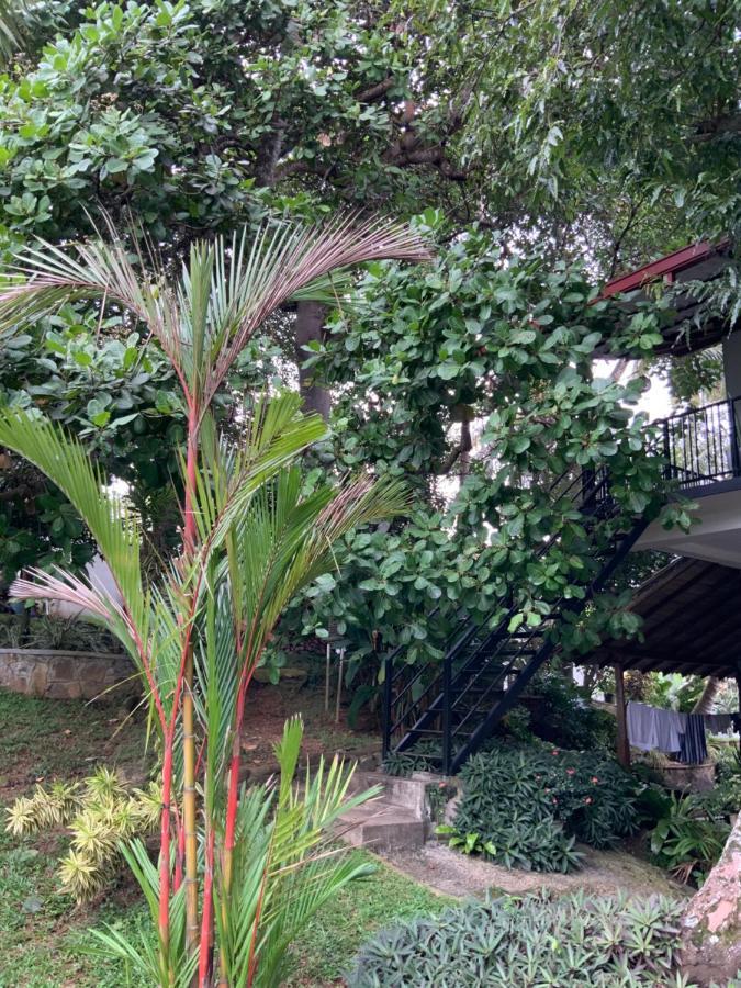 Lali Villa & Fruit Garden Galle Ngoại thất bức ảnh