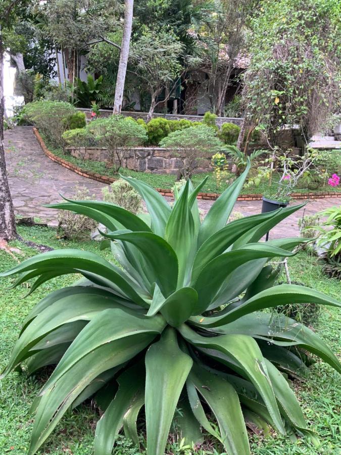 Lali Villa & Fruit Garden Galle Ngoại thất bức ảnh