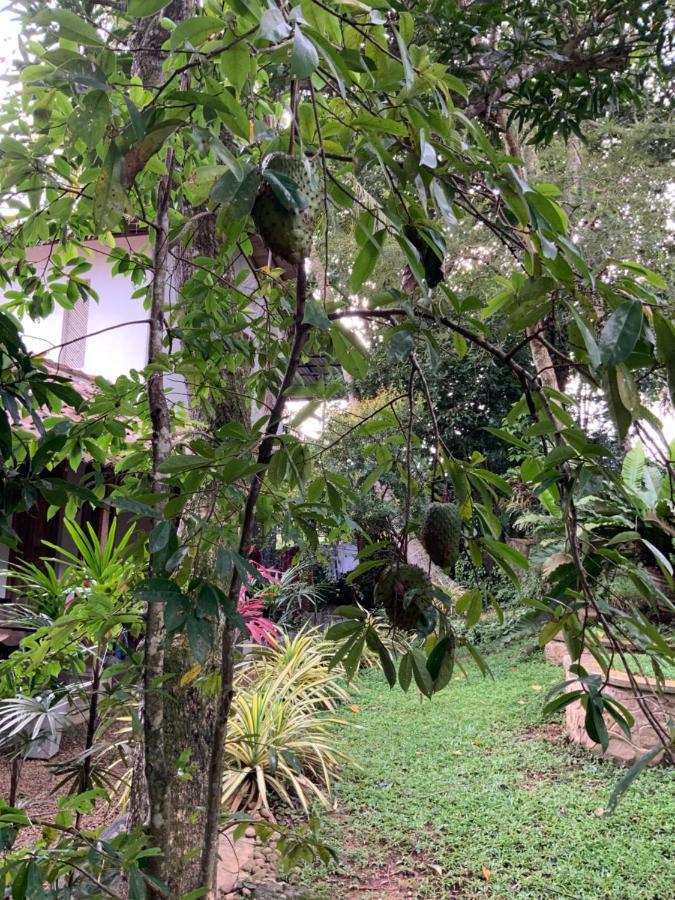 Lali Villa & Fruit Garden Galle Ngoại thất bức ảnh