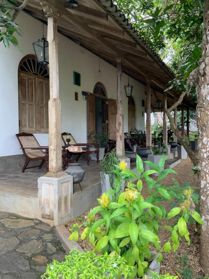 Lali Villa & Fruit Garden Galle Ngoại thất bức ảnh