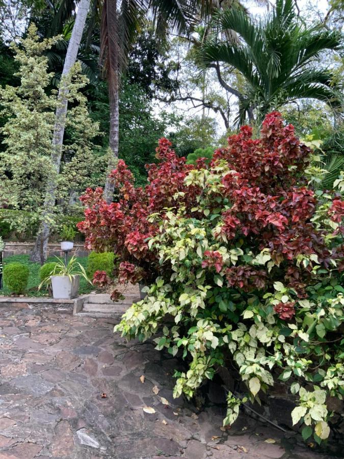 Lali Villa & Fruit Garden Galle Ngoại thất bức ảnh