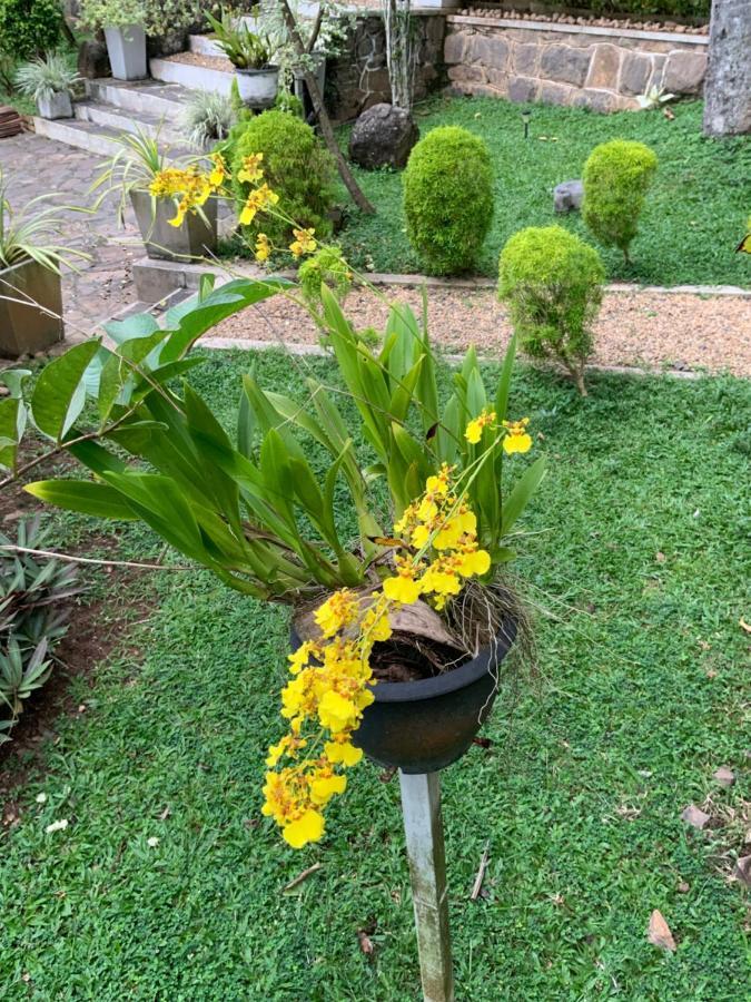 Lali Villa & Fruit Garden Galle Ngoại thất bức ảnh
