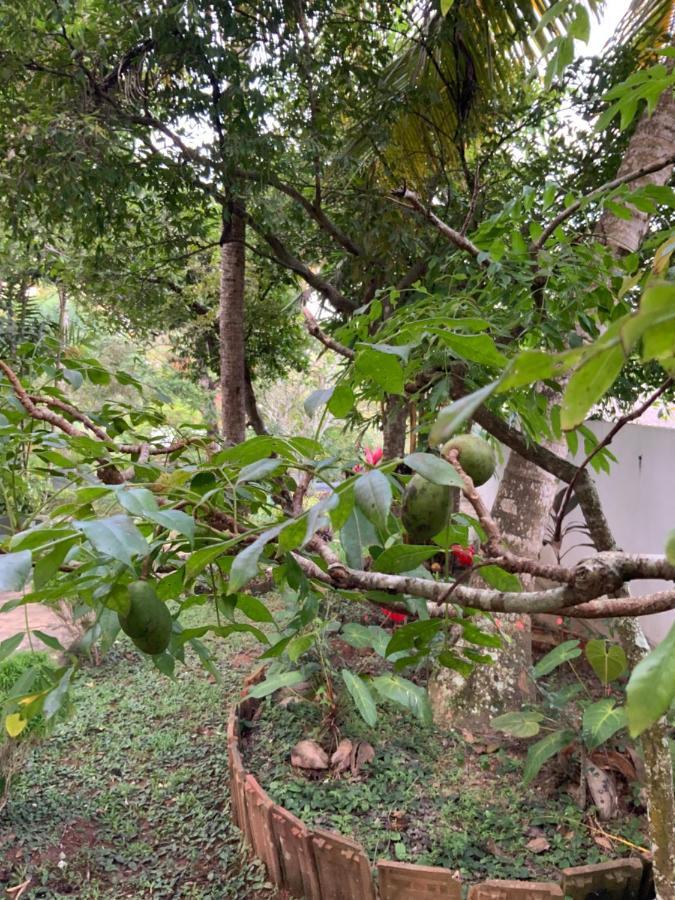 Lali Villa & Fruit Garden Galle Ngoại thất bức ảnh
