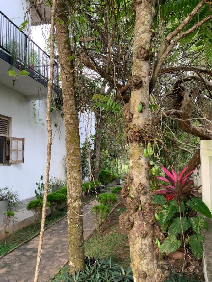 Lali Villa & Fruit Garden Galle Ngoại thất bức ảnh