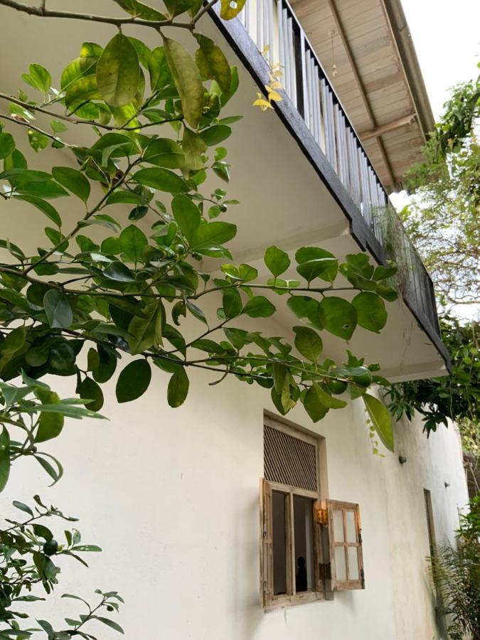 Lali Villa & Fruit Garden Galle Ngoại thất bức ảnh