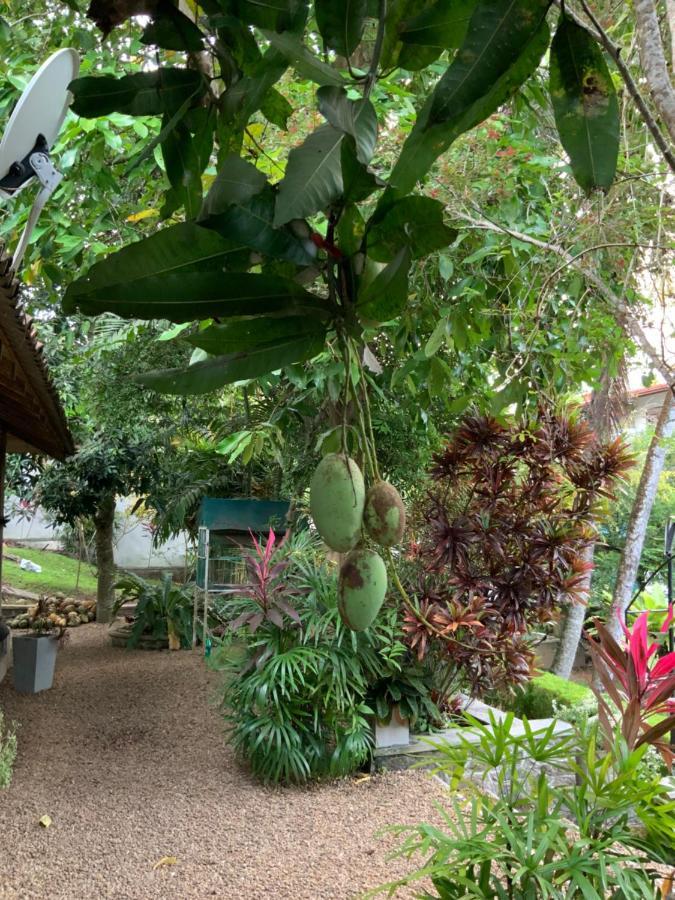 Lali Villa & Fruit Garden Galle Ngoại thất bức ảnh